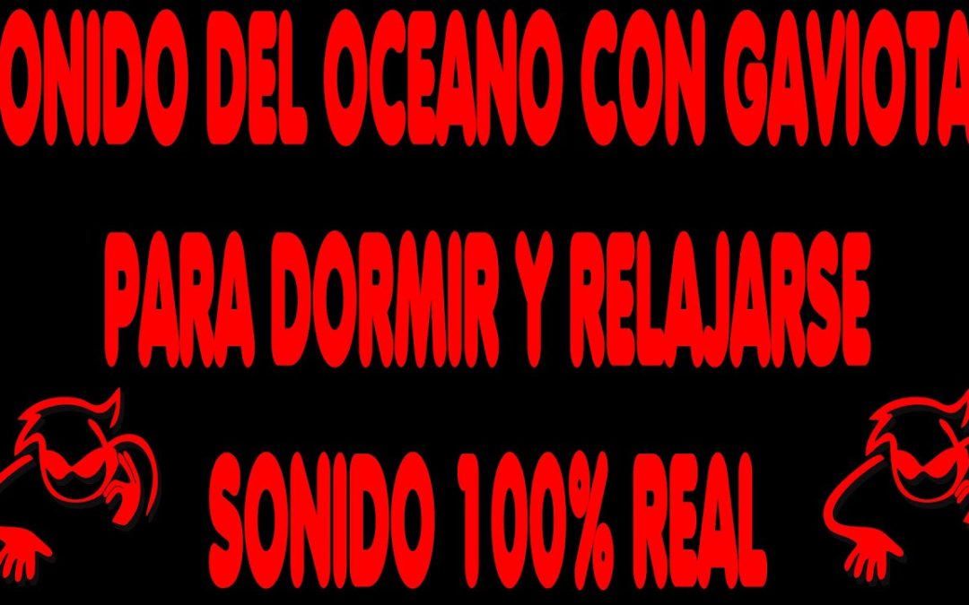 SONIDO del OCÉANO🌊🌊 con GAVIOTAS para DORMIR😴😴 y RELAJARSE (8 HORAS DE SONIDO REAL)